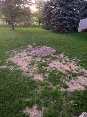 Mulch pile left behind