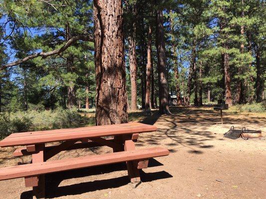 Campsite #9 had lots of shade