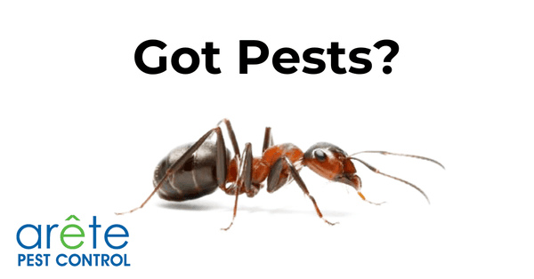 Got Pests? Arete Pest Control can help!