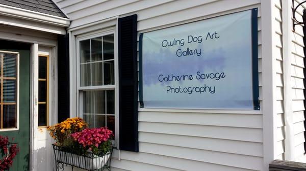 Owling Dog Art Gallery