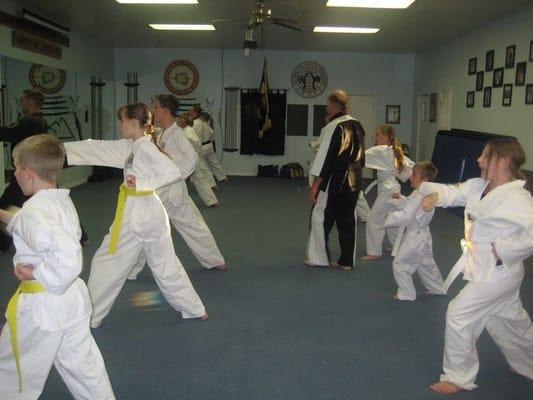 Beginning Tae Kwon Do Class