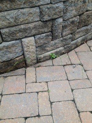 Pavers and raised garden bed