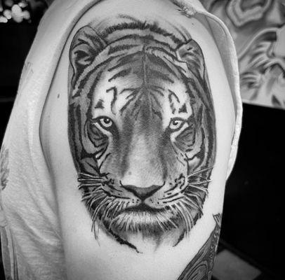 Realistic Tiger