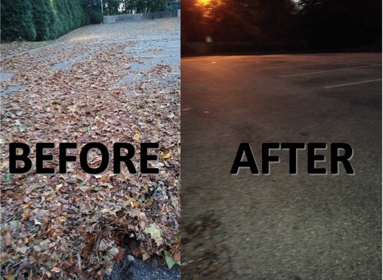 The parking lot of one of our customer's in Great Neck, Long Island