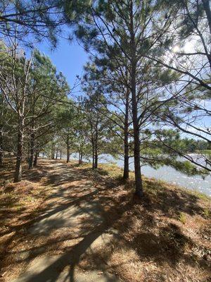 path w trees