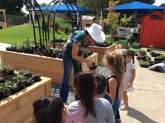 Gardening instructions from the Master Gardener Jill.