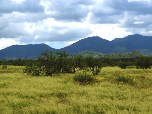 Lot 142 view to South 5.18 acres. Red Hawk at J6 Ranch