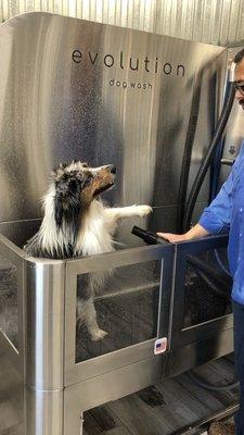 Sometimes they even help you with drying.