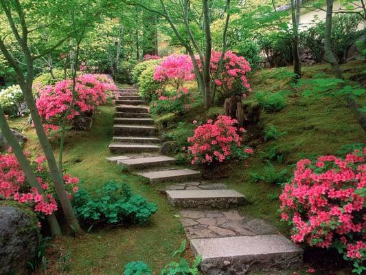 Beautiful gardens!