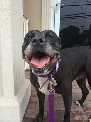 So happy after our walk. Look at her smile.