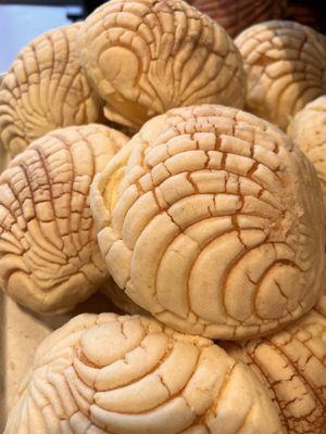 Conchas a traditional Mexican bread with a crumbly texture on top