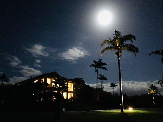 Vintage At Kaanapali AOAO