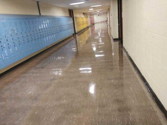 Stripping & waxing floors