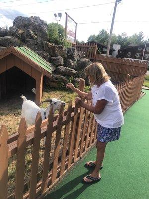 Swissland Miniature Golf