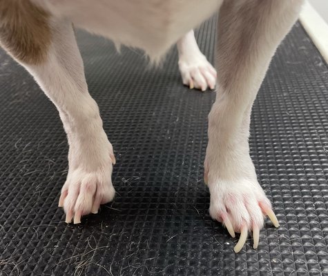 Nails before and after