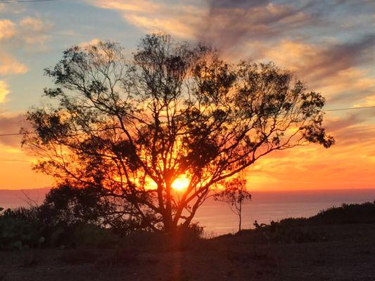 Sunset Laguna Beach