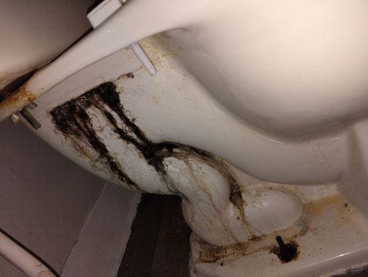 Mold on both toilets !!!!!