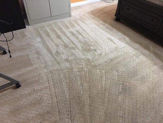 Carpet cleaning