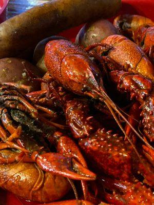 Boiled crawfish