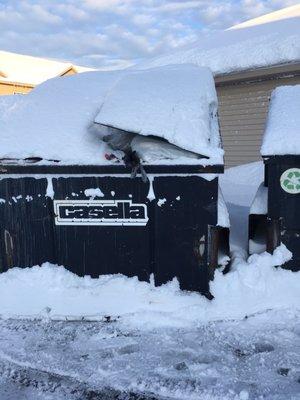 Overflowing dumpster covered in snow