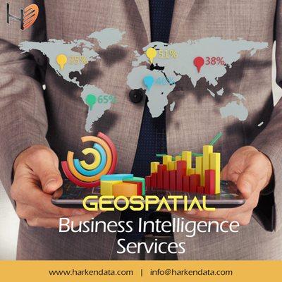 Geospatial Business Intelligence Service