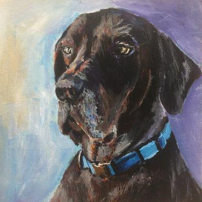 Pet portraits and other custom paintings by Jennifer Ferris