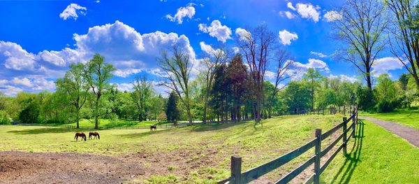 Hidden Valley Farm