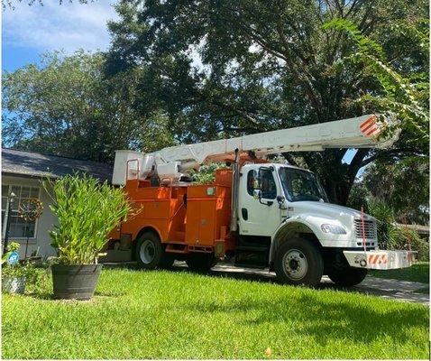 Grass Monkey Lawn And Tree Services