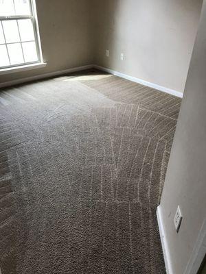 Lowcountry Best Carpet Cleaners