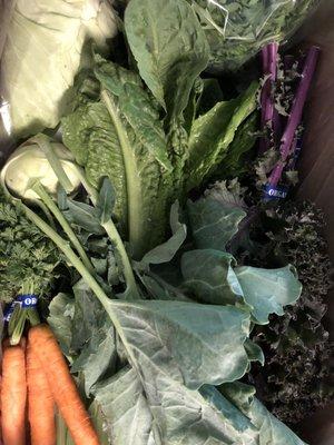 Classic CSA box