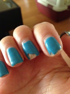 Horrible chipping and damage a week after shellac! Terrible service!