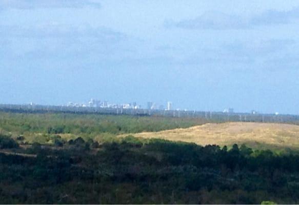 View of downtown from the top of the hill.