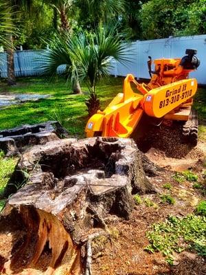 Grind-It Stump Removal