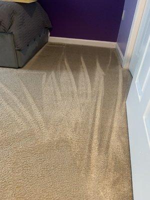 Carpet shampoo