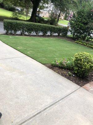 Lawn maintenance