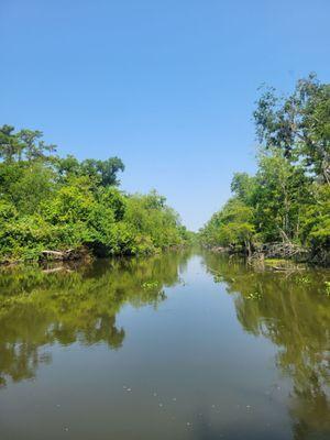 Rajun Cajun Swamp Tours