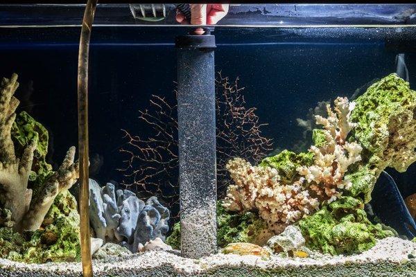 Comprehensive Aquarium Maintenance