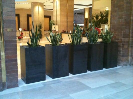 Steel planters