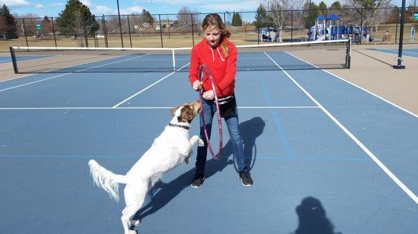 Purely Pawsitive Dog Training