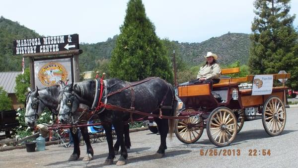 Mariposa Stage Line with Percheron team, Chance and Mason.