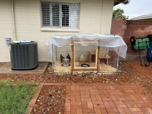 Chicken coop.