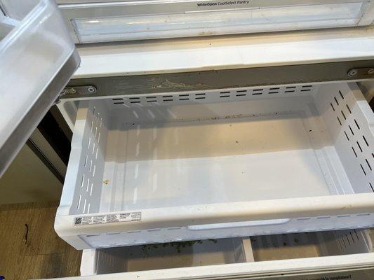 Freezer before cleaning.