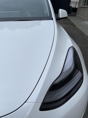 Tesla Model Y PPF Installation