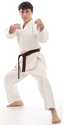 Adult Martial Arts