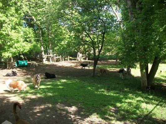 Large play park with lots of large shade trees.