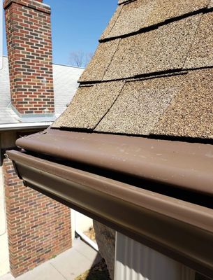 Aluminum Minnesota Leafless Gutters