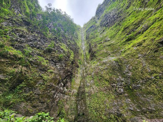 Makaua Falls Trail