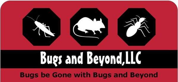 Bugs and Beyond