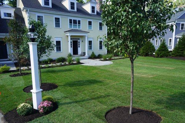 The bluestone terrace provides an up-front seating area for the owners to throw balls across the lawn to their dogs.