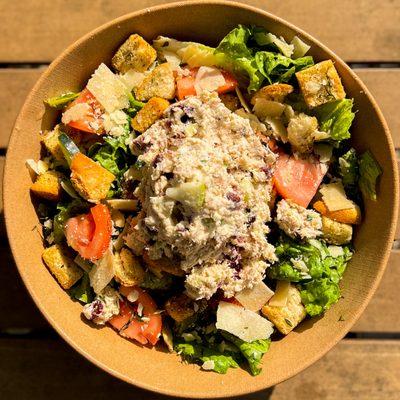 The Grassroots Salad with Chicken Salad